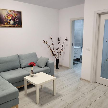 Râmnicu Vâlcea Apartament Alex, Dem Radulescu מראה חיצוני תמונה